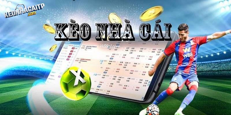 Keonhacaitp.com là website mới mẻ về tỷ lệ kèo nhà cái