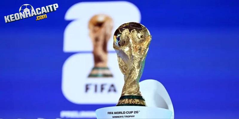 Cập nhật mẹo soi kèo World Cup hữu hiệu nhất cho người chơi