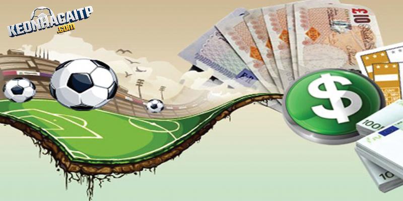 Những khía cạnh cung cấp trong Keonhacaitp.com Những khía cạnh cung cấp trong Keonhacaitp.com