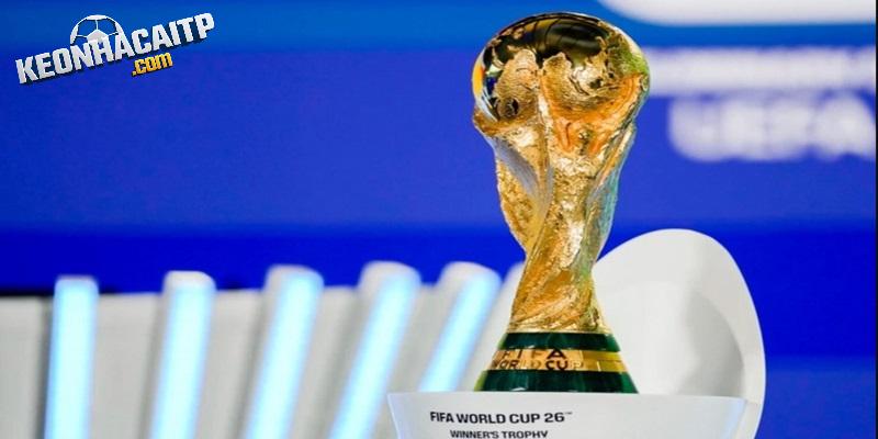 Những thông tin cần biết về giải đấu World Cup